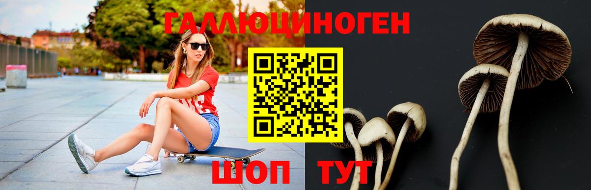 Галлюциногенные грибы GOLDEN TEACHER Грязи